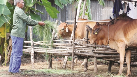 DUAH JALAN DAONG RAHRA NGAK MBANG PATAGOK JIEN MEK TAME