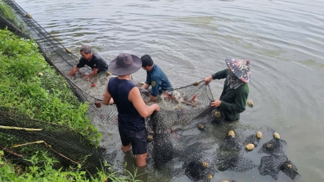 Tơƀrê păn hơkêh a Dak Lak