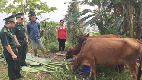 Tình quân dân vùng biên giới