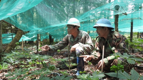 Đe linh so Kon Tum hơtŏk jê̆ 800 tơdrong jang pơgar 