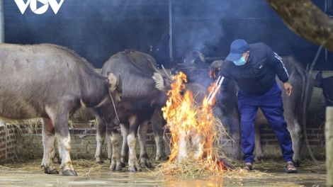 NGÒI CHƯỚNG TUA CÚA CHANG SLÌ DÊN