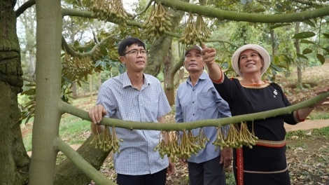 Đắk Lắk: Nâng cao chất lượng mô hình Tổ truyền thông cộng đồng