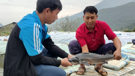 PAZÊNG ĐHANUÔR CA VAN COH A RAL DA DING HOÀNG LIÊN