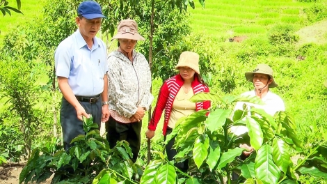 Rklaih luh ach o ngăch knơm trong hăn di 