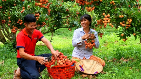 Múa tỏi pẹ mìu- ìu miền-chàn Thái miền ziêm Phai paz thuất nhiếu tzấu nhản pliét chổm khzâuz