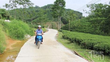 BẢN CỎN TỐI MẤƯ DÚ SLẢNH THÁI NGUYÊN