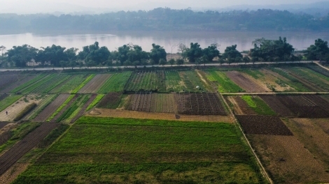 Xuân về, vùng lũ hồi sinh