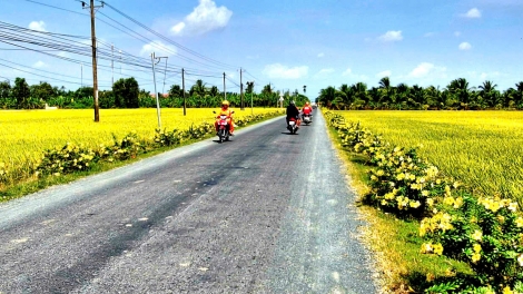 Đồng bào Khmer Sóc Trăng chung vui đón tết