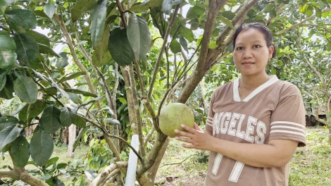 T’VAIH PR’ĐƠỢ ZOOI ĐHANUÔR ACOON COH QUẢNG NAM Z’LÂH ĐHA RỰT 