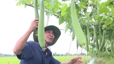 DOM HARAK LAKAU TABIAK KATHAOT