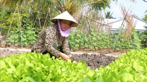 URANG KAMEI BANGSA TAKIK UAK DREI TAGOK, SALIH “SANENG, BRUK NGAK”