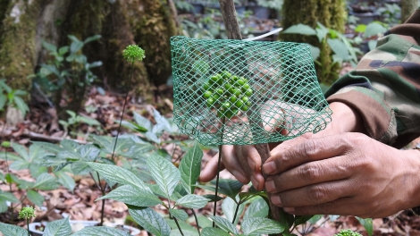 Tahen Kon Tum tâm kơl jut n’huch ach o