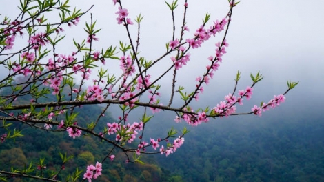 TẶNG CHÀI NẬU BJOÓC MÙA XUÂN