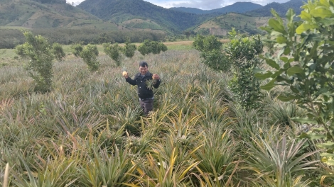 Kăn ƀô̆ đảng viên djâ troăng ahdrối ‘’pơhlêh troăng tơmiât, túa pêi’’
