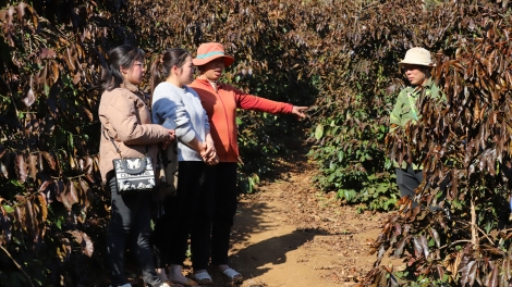 Chương trình phát thanh quam Tay thứ 6 mự 17 căm bườn 01 pì 2025