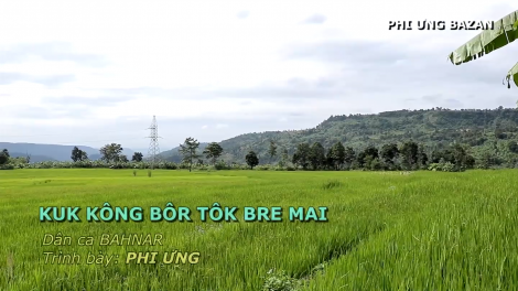 Kuk kông bôr tôk bre mai (Chim bôr tôk gọi em)