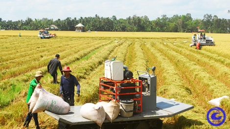 URANG NGAK NONG BHUM TANERAN KRAONG CUU LONG CHREIH CHRAI YUAK PADAI ĐÔNG XUÂN  