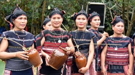 Tơpui thông