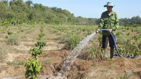 Kon pơlei jang mir Tây Nguyên iung năm jang đơ̆ng rŏng kơ Têt Nguyên đan 