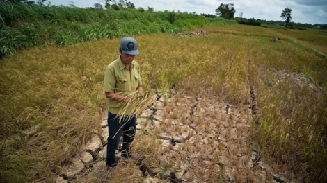 MENG HAREI INI TAL HAREI 20 BILAN 2 IA MBAK NYOM TAME DI BHUM TANERAN KRAONG CUU LONG TAGOK GLONG