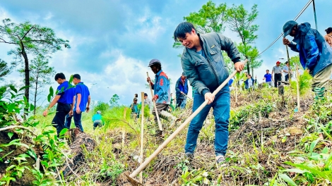 QUẢNG NAM: GÂM NGUT ÂNG CRÂNG BƠƠN 59,63%