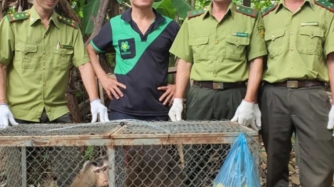 HẠT KIỂM LÂM A LƯỚI, TP HUẾ ĐỘP PAY A ĐHĂH DZĂM CHR’NĂP PR’HĂT ĂT T’NOOI IIB