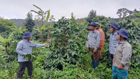 LÂM ĐỒNG PAY ĐOỌNG 155 TỶ ĐỒNG K’RONG BHRỢ PA DƯR ZR’LỤ ĐHANUÔR ACOON COH