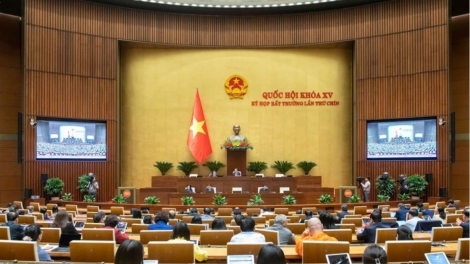 Quốc hội yor ty nchră luh nau ntrŭnh Luật ƀư ntŭk kan Chính phủ (Rgâl nkra)