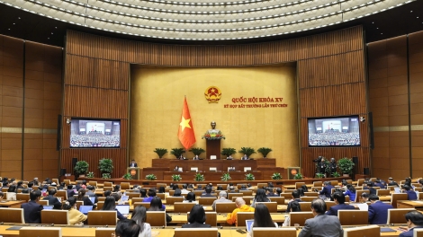 Bruă Kƀĭn Ala ksiêm dlăng hdră êlan phŭn duh bi liê pui kmlă hạt nhân ti Ninh Thuận