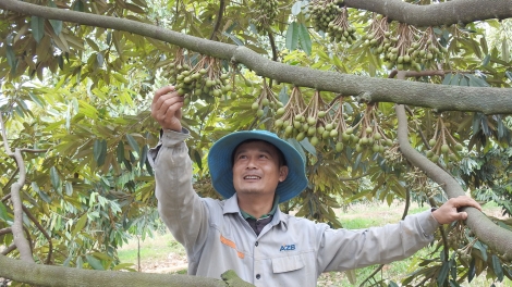 50 hơnăm pro tơleăng lěm, Kon Tum mơnhông rơdêi, pêi cheăng châ rĕng má môi kơpong Tây Nguyên