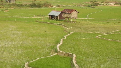 Bình yên Tổ quốc