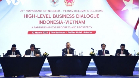 Khua git gai Ping gah dêh čar ơi Tô Lâm bơkơtuai hăng anom bơwih ƀong gưl dlông Việt Nam hăng Indonesia 