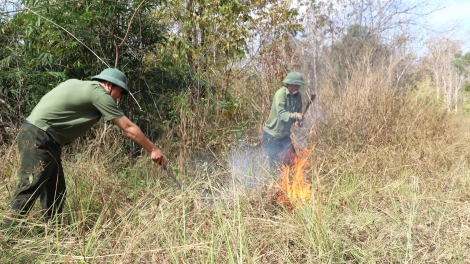 Dăk Nông rcang lài kơryan ồs sa brê