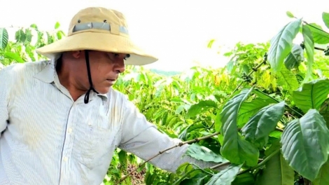 Atŏk kơtang hơnăp jang đảng viên lơ̆m atŏk tơ iung mŭk drăm tơ̆ Lâm Đồng