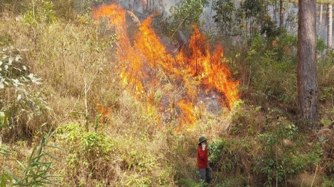 Tây Nguyên kô tơ’lêi trâm tơdroăng on chếo kâ kong ki ó