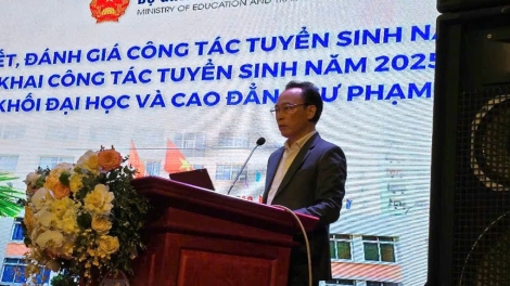 Phai paz nhây phiến