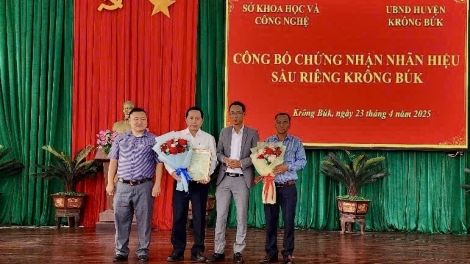 Geh tai 1 kơnhoàl tàm càr Dăk Lăk yal mat kă bro sầu riêng mpồl bal 