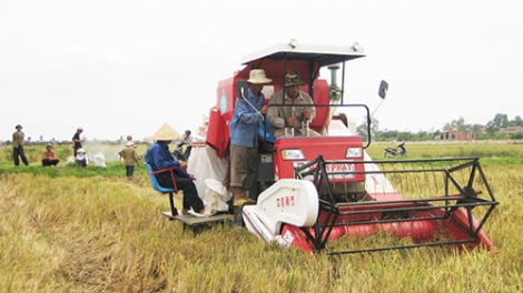 QUẢNG BÌNH: PA DƯR BH’RỢ ÂNG HỢP TÁC XÃ COH BHRỢ PA DƯR VÊÊL BHƯƠL T’MÊÊ