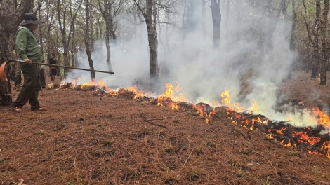 Gia Lai n’hao dăng ăp trong njrăng, n’gang ŭnh sa bri