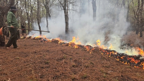 Gia Lai atŏk kơtang rim trong jang tang găn ŭnh sa bri