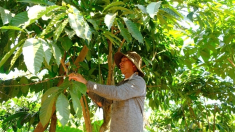 PADƯR CHR’NĂP ĐẢNG VIÊN ĐHỊ BH’RỢ BHRỢ CHA COH LÂM ĐỒNG