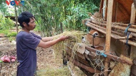 Cồng nha Rơndap broă lơh ròng kơn rồ me deh kòn dong kờl broă lơh sa tàm Ia Pết, càr Gia Lai