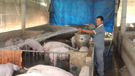 Mnuih mâo kơhưm – Jing kdrông mkŏ mnuih ƀuôn sang hŏng bruă sang čư̆ êa