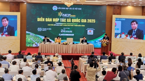 Êpul hgŭm bruă leh anăn hdră bi mlih mtah kơ klei đĭ kyar hơĭt kjăp 