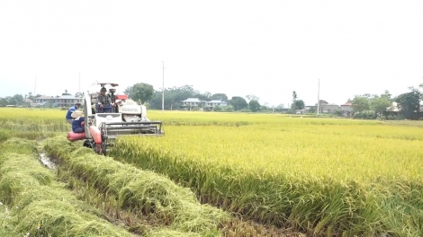 Chương trình phát thanh quam Tay thứ 6 mự 30 căm bườn 5 pì 2025. 