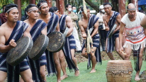 Jơnau "Rùp să rài kis" 