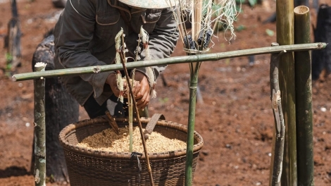 Ngă yang tơjŭ pơdai mơ̆ng djuai ania M’nông