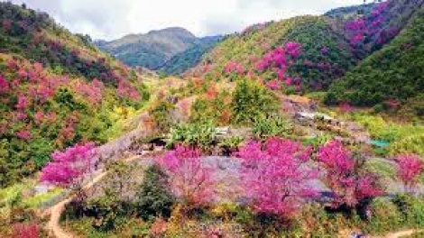 Danak dak sap Cam 29_07_2025