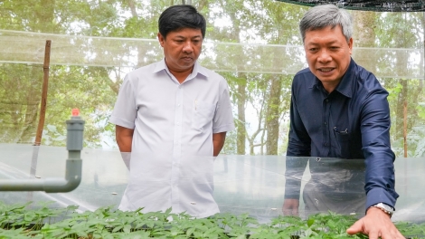 SÂM NGỌC LINH BƠƠN PA DƯR CRÊÊ XA NAY COH CRÂNG