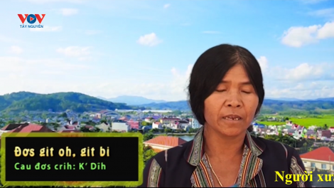 Đơs git oh, git bi